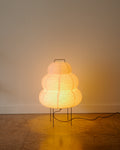 Soaked Paper Lamp